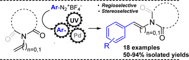 Graphical abstract: Photocatalytic Heck–Matsuda reaction: selective arylation of N-vinyl- and N-allyl-lactams using Pd2(dba)3