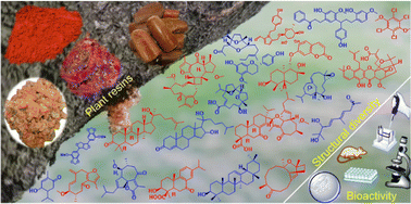 Graphical abstract: Medicinal plant resin natural products: structural diversity and biological activities