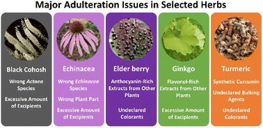 Graphical abstract: Estimating the extent of adulteration of the popular herbs black cohosh, echinacea, elder berry, ginkgo, and turmeric – its challenges and limitations