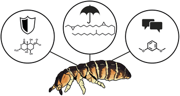 Graphical abstract: Small animals with unique chemistry – the natural product chemistry of Collembola