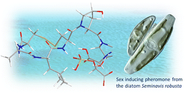 Graphical abstract: Marine natural products