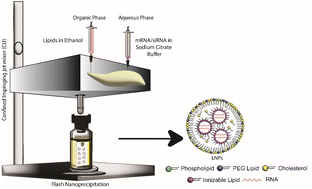 Graphical abstract: Flash nanoprecipitation assisted self-assembly of ionizable lipid nanoparticles for nucleic acid delivery