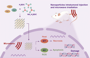 Graphical abstract: Fe-doped Cu-based bimetallic metal–organic frameworks as nanoscale microwave sensitizers for enhancing microwave thermal and dynamic therapy for hepatocellular carcinoma