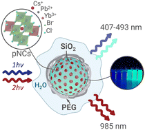 Graphical abstract: Near-infrared two-photon excited photoluminescence from Yb3+-doped CsPbClxBr3−x perovskite nanocrystals embedded into amphiphilic silica microspheres