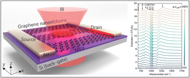Graphical abstract: Tunable hybridized plasmons–phonons in a graphene/mica-nanofilm heterostructure