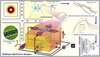 Graphical abstract: Multilayer ferromagnetic spintronic devices for neuromorphic computing applications