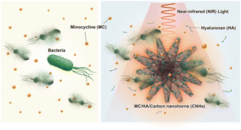 Graphical abstract: Near-infrared light-boosted antimicrobial activity of minocycline/hyaluronan/carbon nanohorn composite toward peri-implantitis treatments