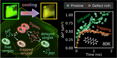 Graphical abstract: Transport, trapping, triplet fusion: thermally retarded exciton migration in tetracene single crystals