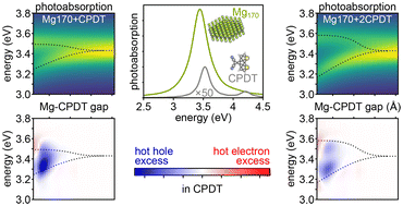 Graphical abstract: Influence of molecular structure on the coupling strength to a plasmonic nanoparticle and hot carrier generation