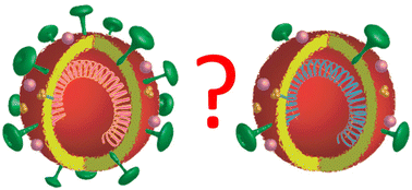 Graphical abstract: Optical detection of infectious SARS-CoV-2 virions by counting spikes