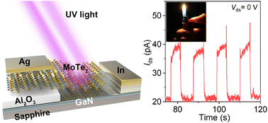 Graphical abstract: A 1T′-MoTe2/GaN van der Waals Schottky junction for self-powered UV imaging and optical communication