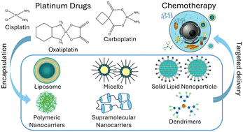 Graphical abstract: Platinum-based chemotherapy: trends in organic nanodelivery systems