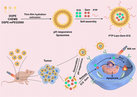 Graphical abstract: Plectin-1-targeted recognition for enhancing comprehensive therapy in pancreatic ductal adenocarcinoma