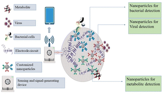 Graphical abstract: Breaking boundaries in microbiology: customizable nanoparticles transforming microbial detection
