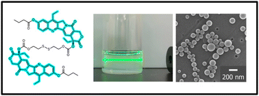 Graphical abstract: Carrier-free nano-prodrugs for minimally invasive cancer therapy