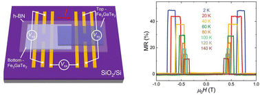 Graphical abstract: Room-temperature spin-valve devices without spacer layers based on Fe3GaTe2 van der Waals homojunctions