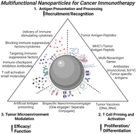 Graphical abstract: Immunomodulatory nanoparticles activate cytotoxic T cells for enhancement of the effect of cancer immunotherapy