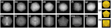 Graphical abstract: In situ heating characterization of structural evolution and size-dependent melting point depression in gold nanoclusters: a comprehensive thermodynamic investigation