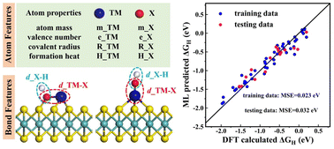 Graphical abstract: Machine learning-aided understanding of the structure–activity relationship: a case study of MoS2 supported metal–nonmetal pairs for the hydrogen evolution reaction