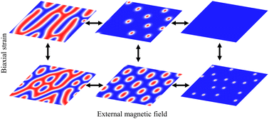 Graphical abstract: Regulating magnetic skyrmions in multiferroic monolayer MnOBr