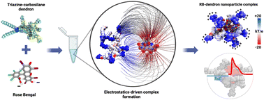 Graphical abstract: Molecular interactions driving the complexation of rose bengal by triazine-carbosilane dendrons