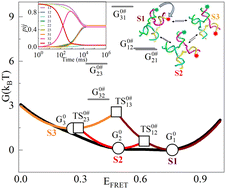 Graphical abstract: Differential Mg2+ deposition on DNA Holliday Junctions dictates the rate and stability of conformational exchange