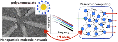 Graphical abstract: Low-frequency noise in nanoparticle–molecule networks and implications for in materio reservoir computing