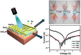 Graphical abstract: Understanding the emergence of negative photoconductivity in CVD grown ReS2 thin films by invoking the trion generation mechanism