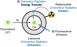 Graphical abstract: Liposome: a tool to raise the Cherenkov radiation yield and to restore fluorophore properties in aqueous media