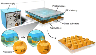 Graphical abstract: Solid-state electrochemical oxidation with polyelectrolyte membrane stamps for micro-/nanoscale pattern formation on Au surfaces