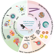 Graphical abstract: Applications of nanotheranostics in the second near-infrared window in bioimaging and cancer treatment