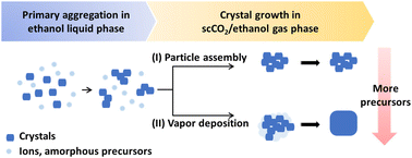 Graphical abstract: HKUST-1 MOF nanoparticles: a non-classical crystallization route in supercritical CO2