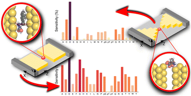 Graphical abstract: Detection and distinction of amino acids and post-translational modifications with gold nanojunctions