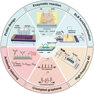 Graphical abstract: Overcoming Debye screening effect in field-effect transistors for enhanced biomarker detection sensitivity