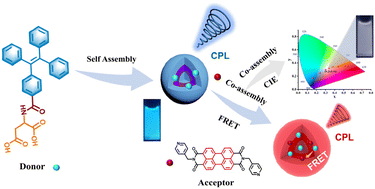 Graphical abstract: White circularly polarized luminescence from a dual-component emitter induced by FRET between tetraphenylene and PDI derivatives