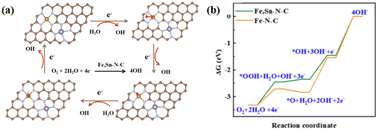 Graphical abstract: p-Block metal atom-induced spin state transition of Fe–N–C catalysts for efficient oxygen reduction