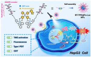 Graphical abstract: A glycosylated AIE-active Fe(iii) photosensitizer activated by the tumor microenvironment for synergistic type I photodynamic and chemodynamic therapy