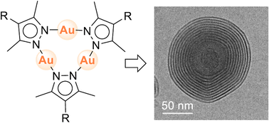 Graphical abstract: Nano onions based on an amphiphilic Au3(pyrazolate)3 complex