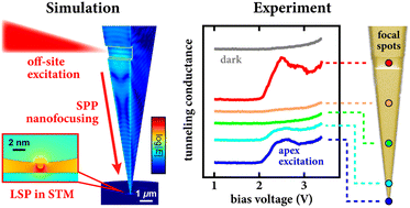 Graphical abstract: Quantitative comparison of local field enhancement from tip-apex and plasmonic nanofocusing excitation via plasmon-assisted field emission resonances