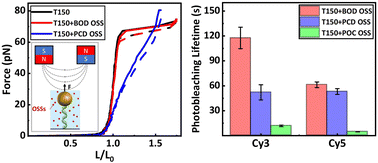 Graphical abstract: An oxygen-scavenging system without impact on DNA mechanical properties in single-molecule fluorescence experiments