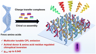 Graphical abstract: Multicolor and sign-invertible circularly polarized luminescence from nonchiral charge-transfer complexes assembled with N-terminal aromatic amino acids