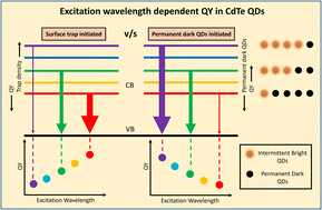 Graphical abstract: Excitation wavelength-dependent quantum yield in water-soluble CdTe quantum dots