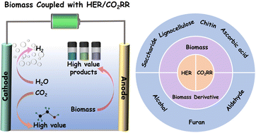Graphical abstract: Electrocatalytic biomass upgrading coupled with hydrogen evolution and CO2 reduction