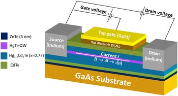 Graphical abstract: Temperature and electron concentration dependences of 1/f noise in Hg1−xCdxTe – evidence for a mobility fluctuations mechanism