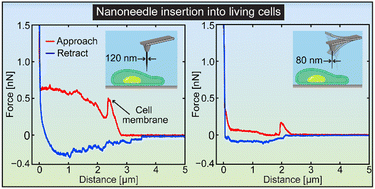 Graphical abstract: Significant reduction of cell invasiveness in nanoneedle insertion into a living cell with an electron-beam-deposited probe: impacts of probe geometry, speed and vibration