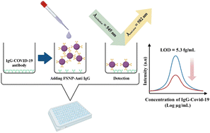 Graphical abstract: A fluorescence nanosensor based on modified sustainable silica for highly sensitive detection of the SARS-CoV-2 IgG antibody