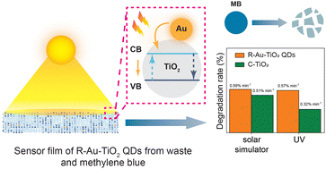 Graphical abstract: Regenerated and reformed gold and titanium dioxide quantum dots from waste for sustainable and efficient environmental monitoring