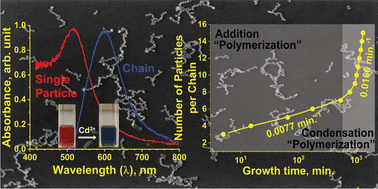 Graphical abstract: Kinetics of ion-mediated directed self-assembly of one-dimensional chains of metal nanoparticles in solution