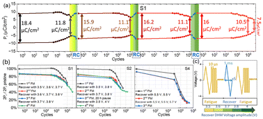 Graphical abstract: Understanding fatigue and recovery mechanisms in Hf0.5Zr0.5O2 capacitors for designing high endurance ferroelectric memory and neuromorphic hardware