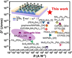 Graphical abstract: A ferroelectrically modulated ultrasensitive two-dimensional perovskite phototransistor with zero-gate-bias